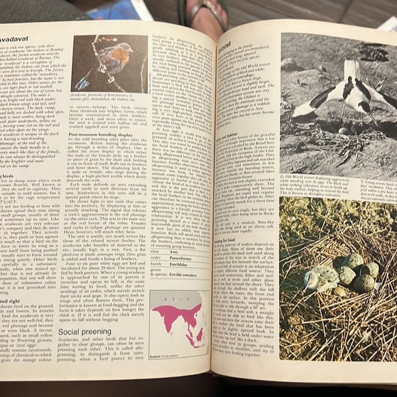 Hard cover Wildlife Encyclopedia VOL 1
By: Funk and Wagnalls Vintage 1974 print - Picture 3 of 4